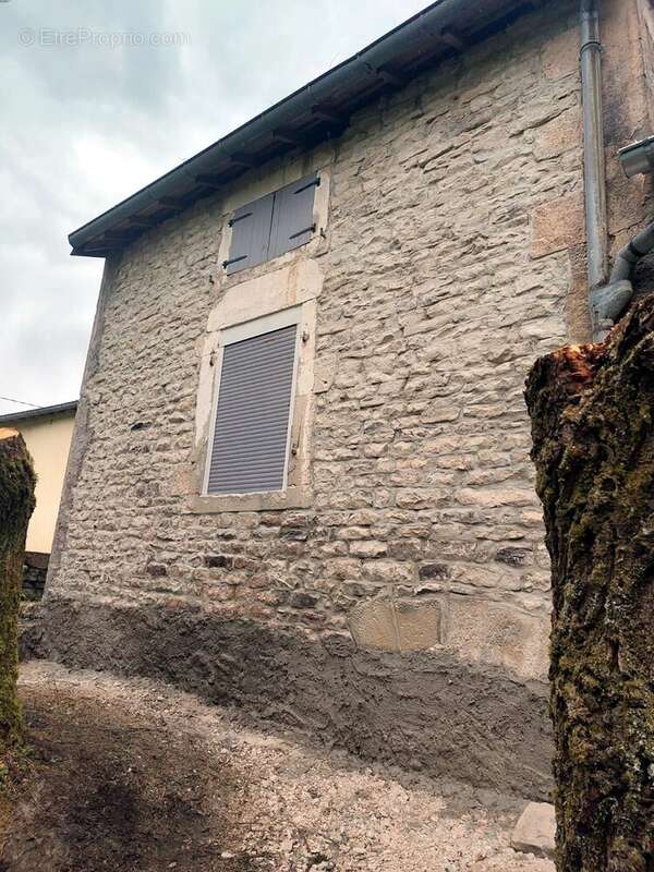 Charmante maison individuelle avec jardin en Haute-Saône. - photo 50