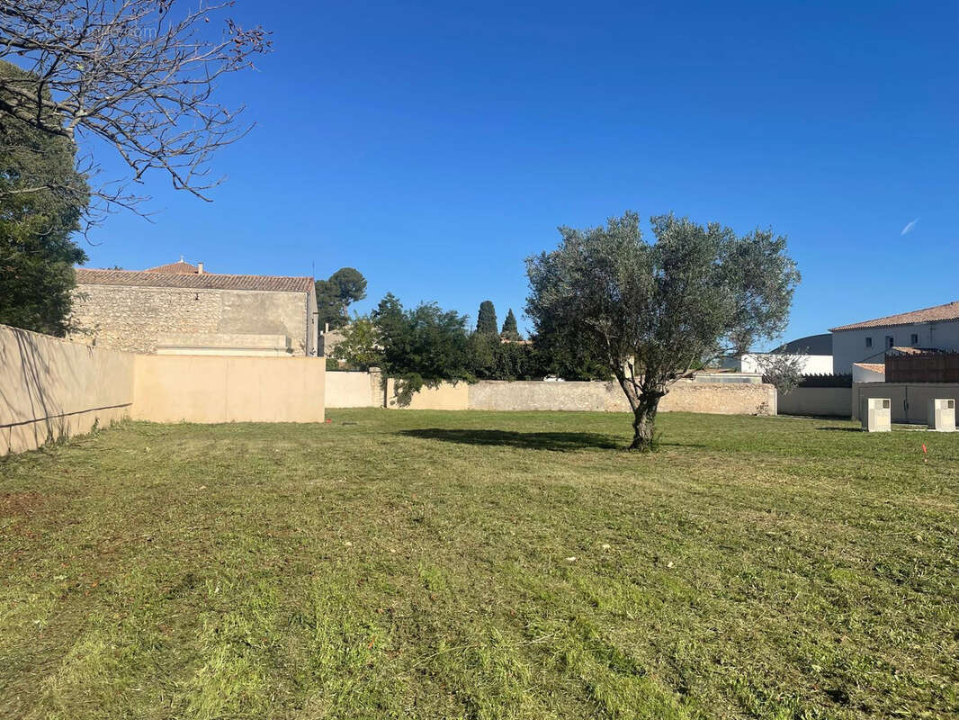 TAB 734 m2 / Libre Constructeurs / Prix en Direct - photo 7