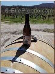 Appartement à SABRAN