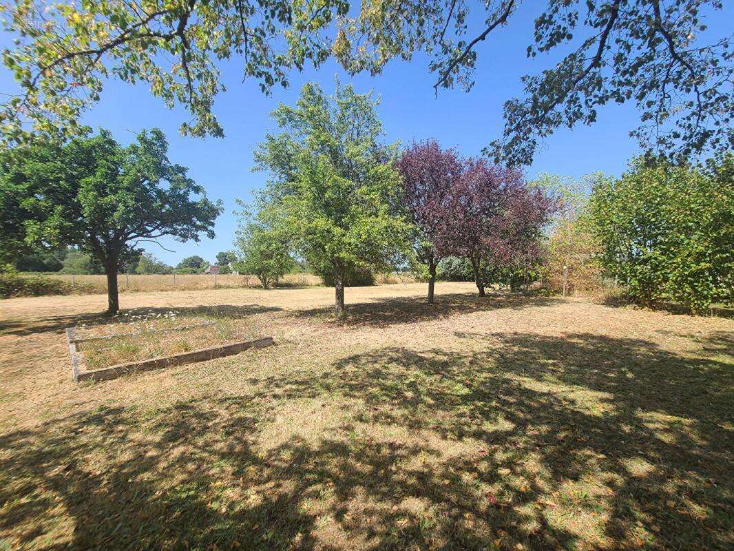 Maison 221 m² avec terrain de 5 000 m² - Mouliherne (49390) - photo 13