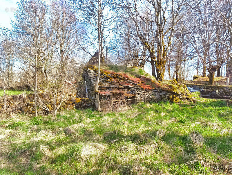 Maison à SAINT-VINCENT-DE-SALERS