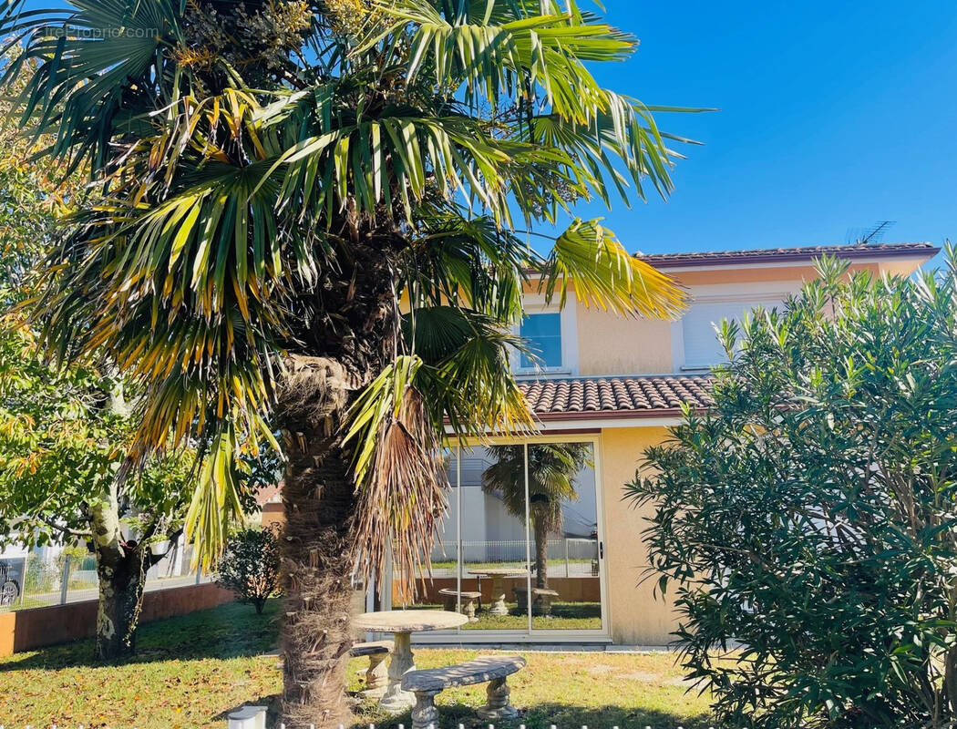 Maison à BENESSE-MAREMNE