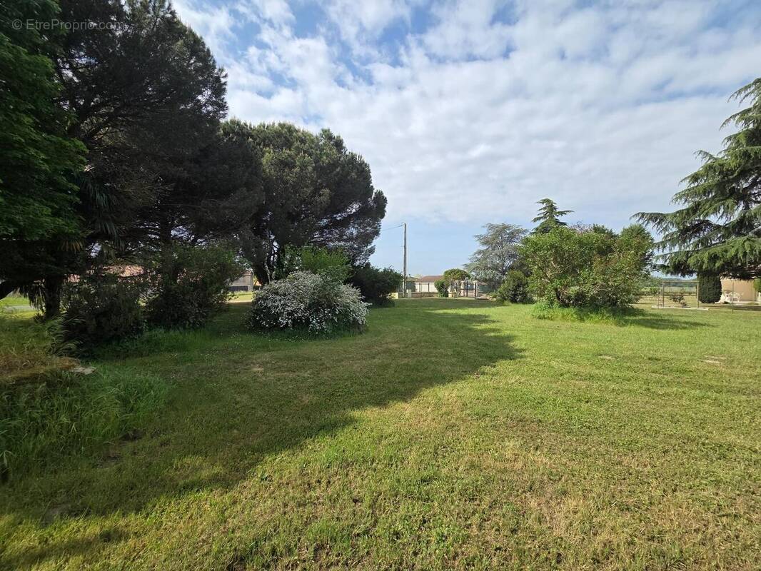 Photo 1 - Maison à SAINT-CIERS-SUR-GIRONDE