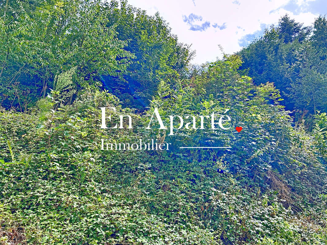 Terrain à VIRE