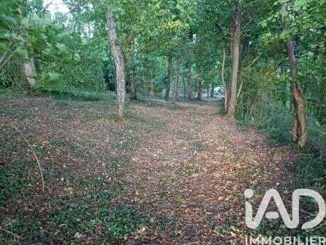 Photo 7 - Terrain à INGLANGE