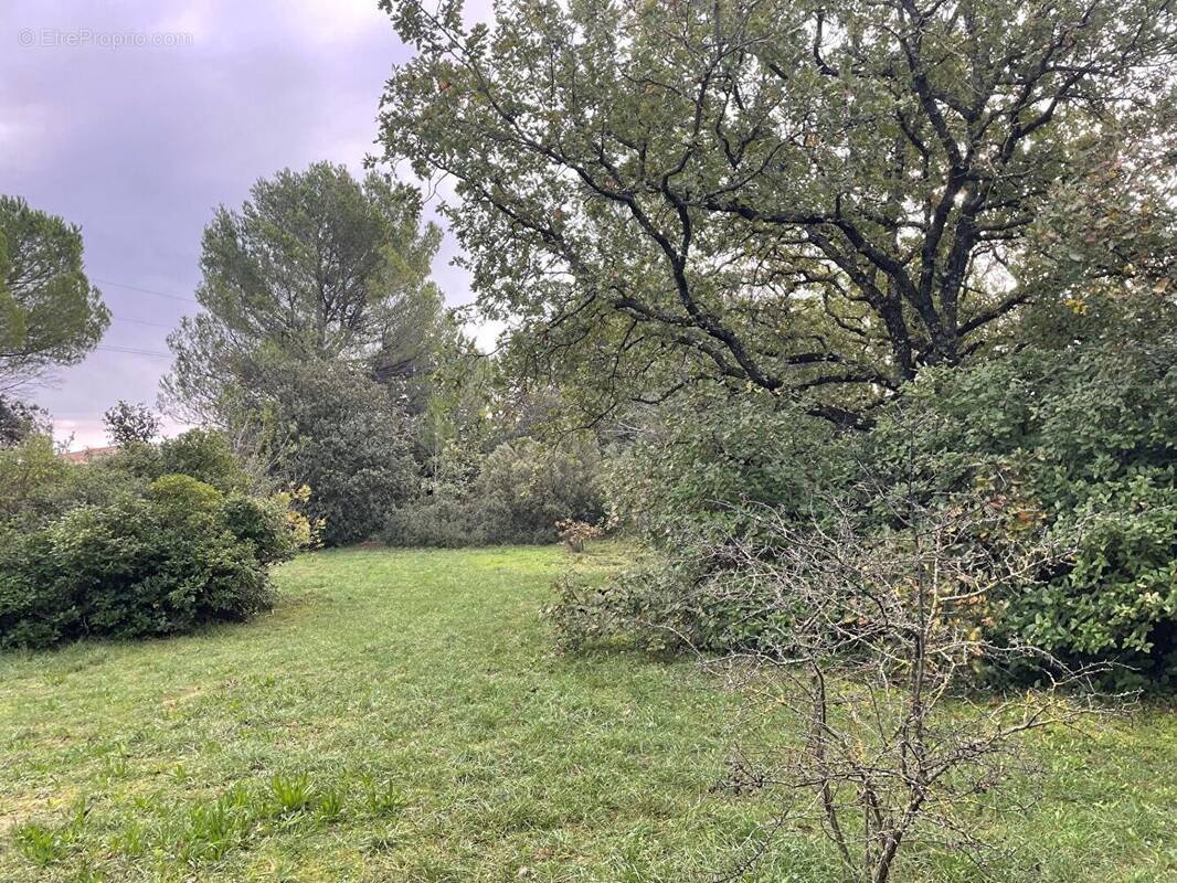 Terrain à CHATEAUNEUF-DE-GADAGNE