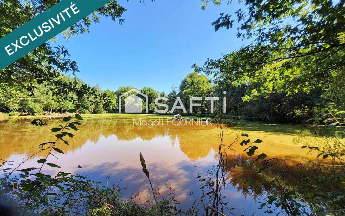 Photo 2 - Terrain à BALLOTS