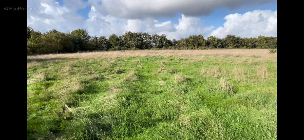 Terrain à TALMONT-SAINT-HILAIRE