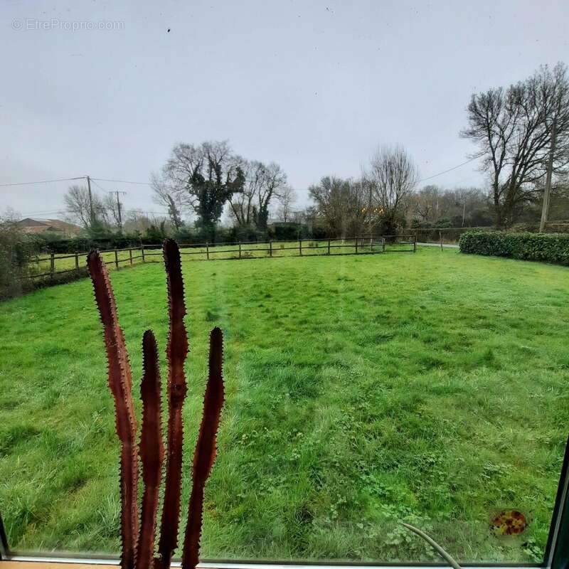 Maison à SAINT-ETIENNE-DE-MONTLUC