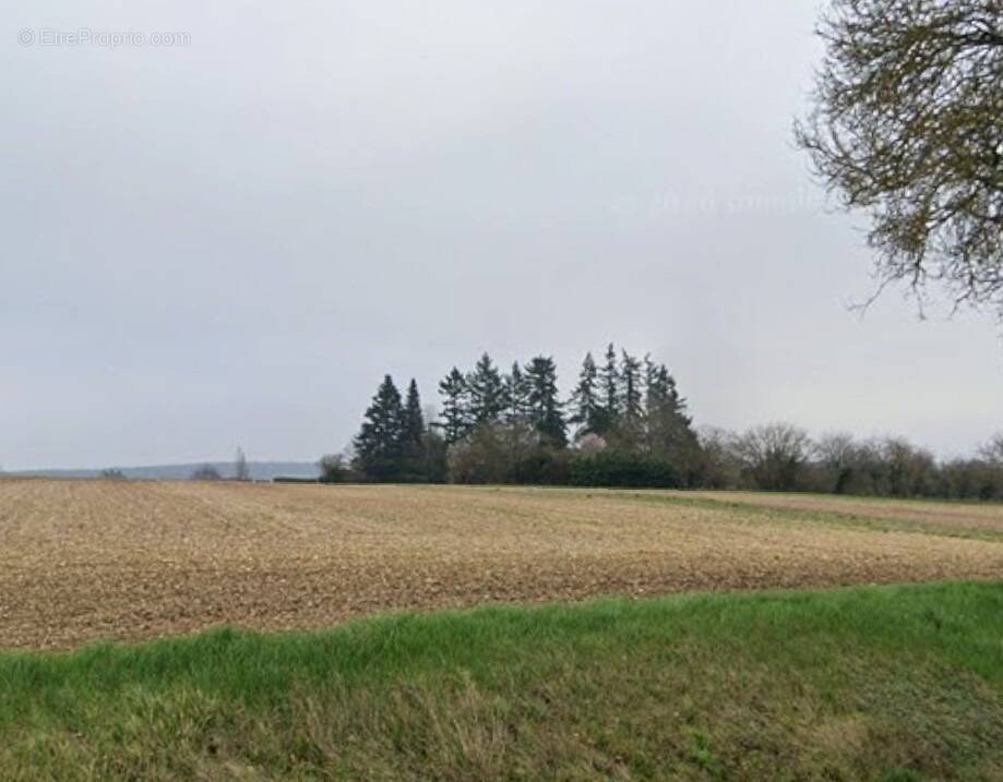 Terrain à ALLOGNY
