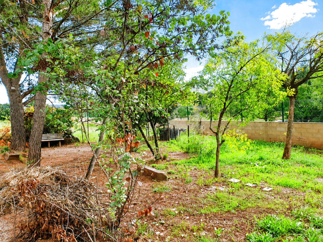 A vendre villa 5 chambres hangar 150m2 - photo 2