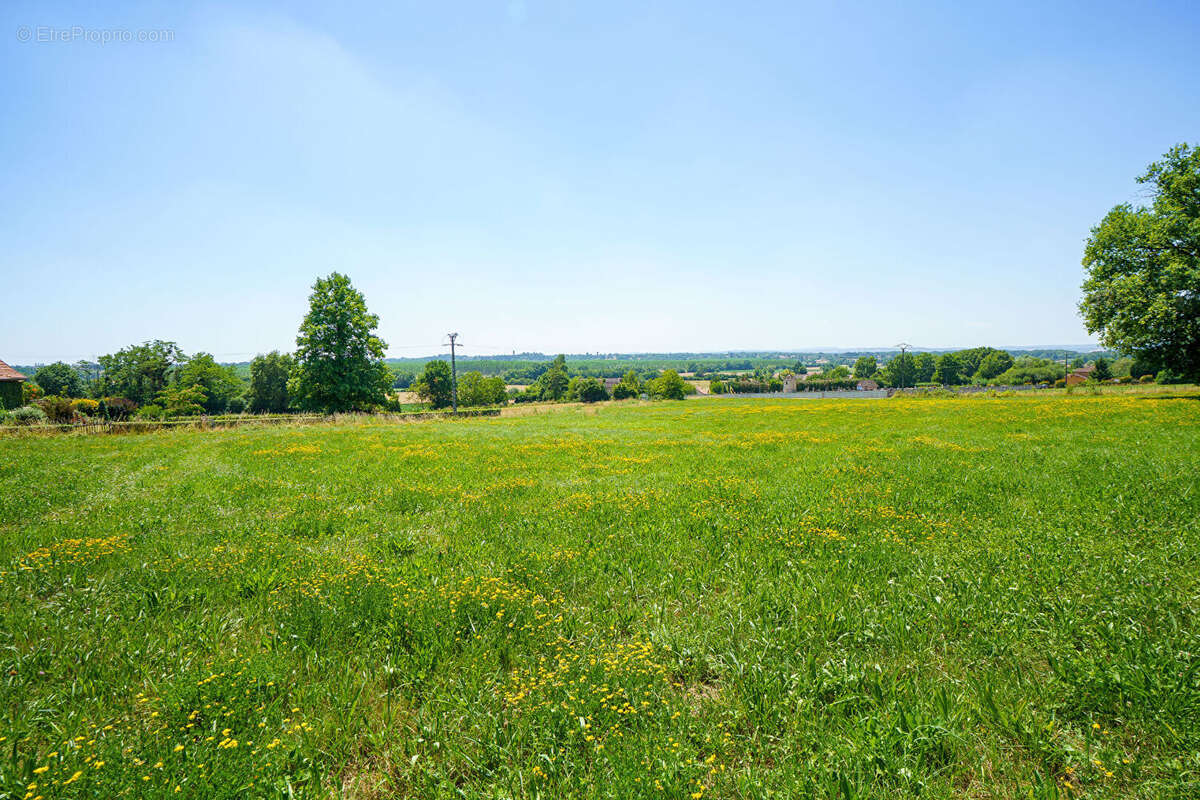 Terrain à bâtir/lotir LOISY - 7061m² - photo 4