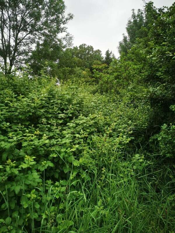 Terrain à TALMONT-SAINT-HILAIRE