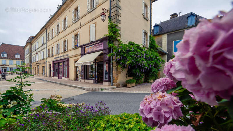 Commerce à NAVARRENX