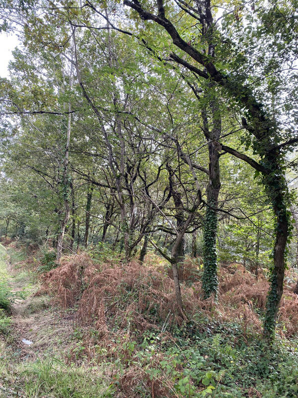 Terrain à SOULLANS