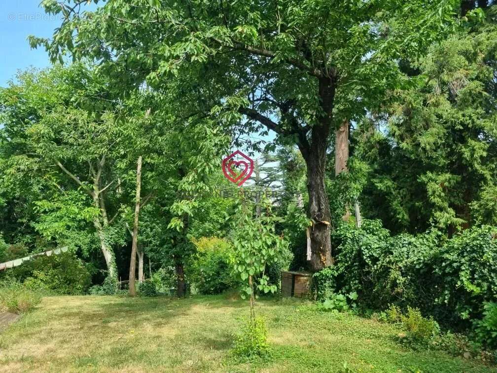 Maison urbaine spacieuse rénovée écologiquement avec dépendance et jardin - photo 15
