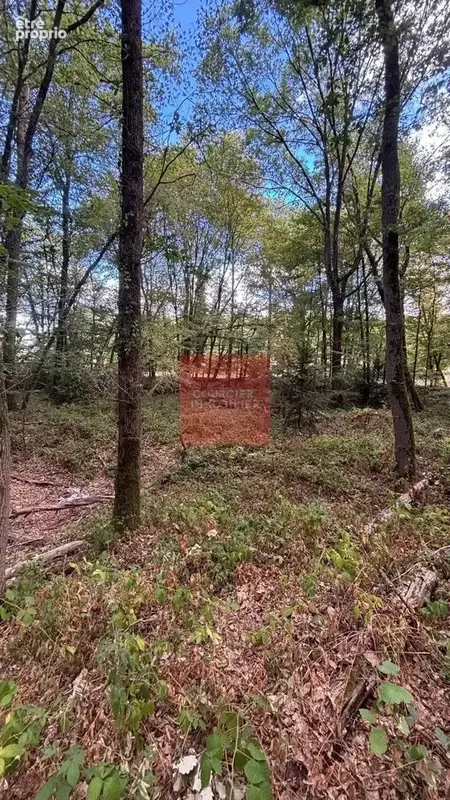 Terrain à LE MESNIL-SAINT-DENIS