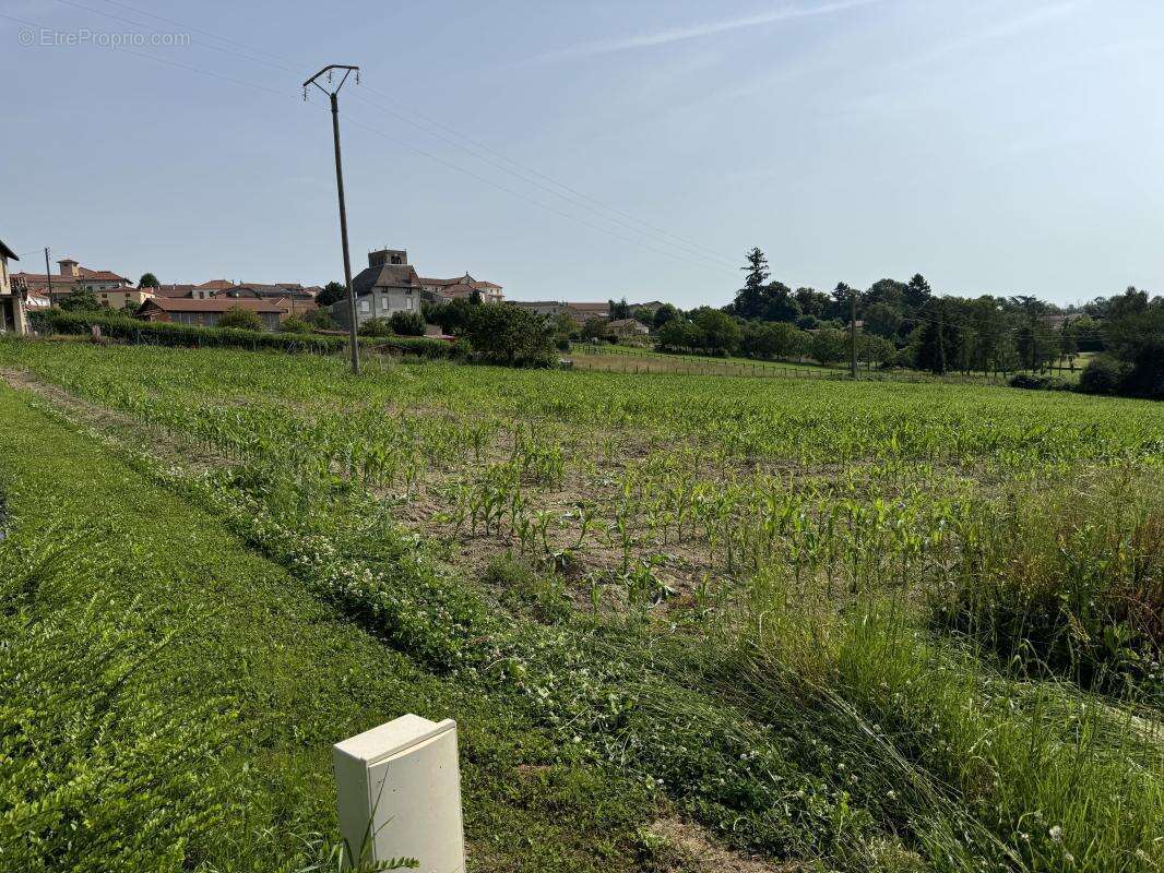 Terrain 1 339 m² à vendre à Cremeaux (42260) - photo 4