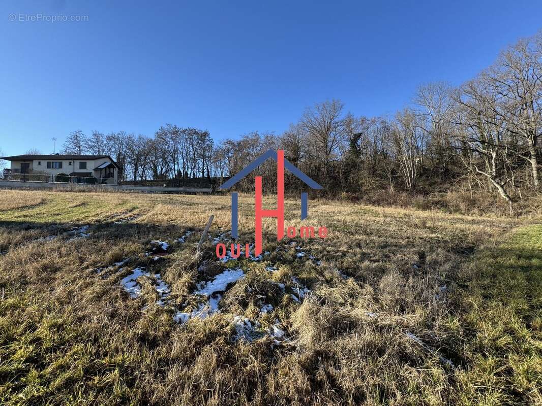 Terrain à COUBON