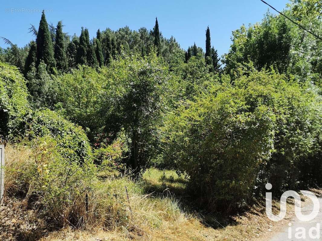 Photo 6 - Terrain à CENNE-MONESTIES
