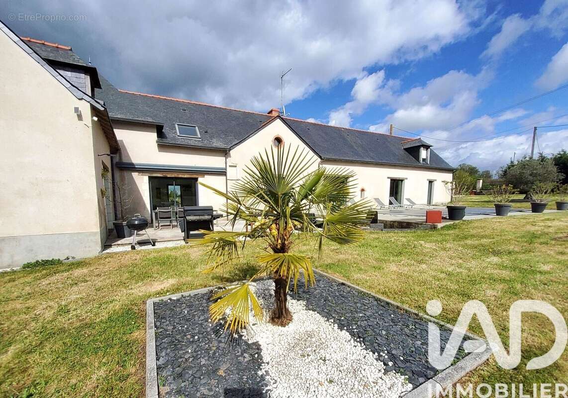 Photo 2 - Maison à ANGERS