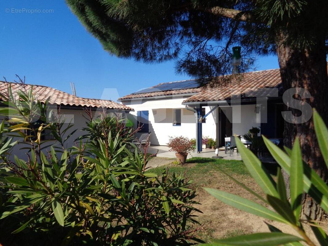 DSC04085 - Maison à CASTELMAYRAN