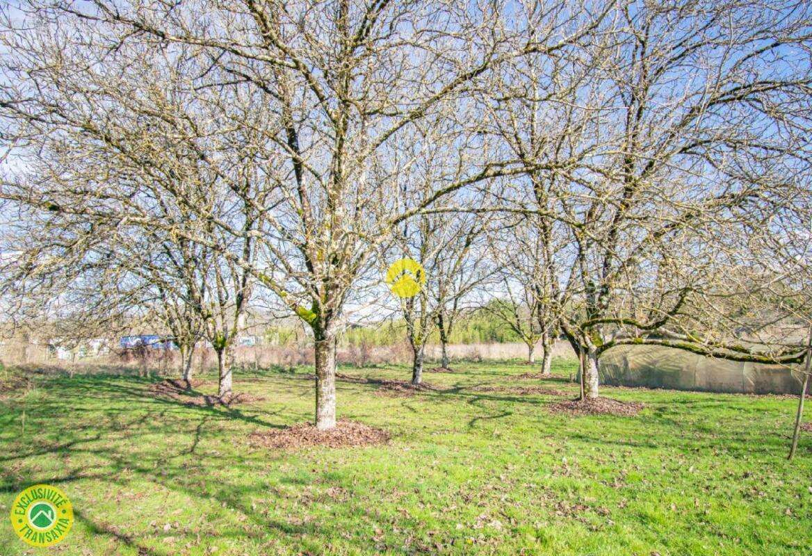 Maison à LE BUISSON-DE-CADOUIN