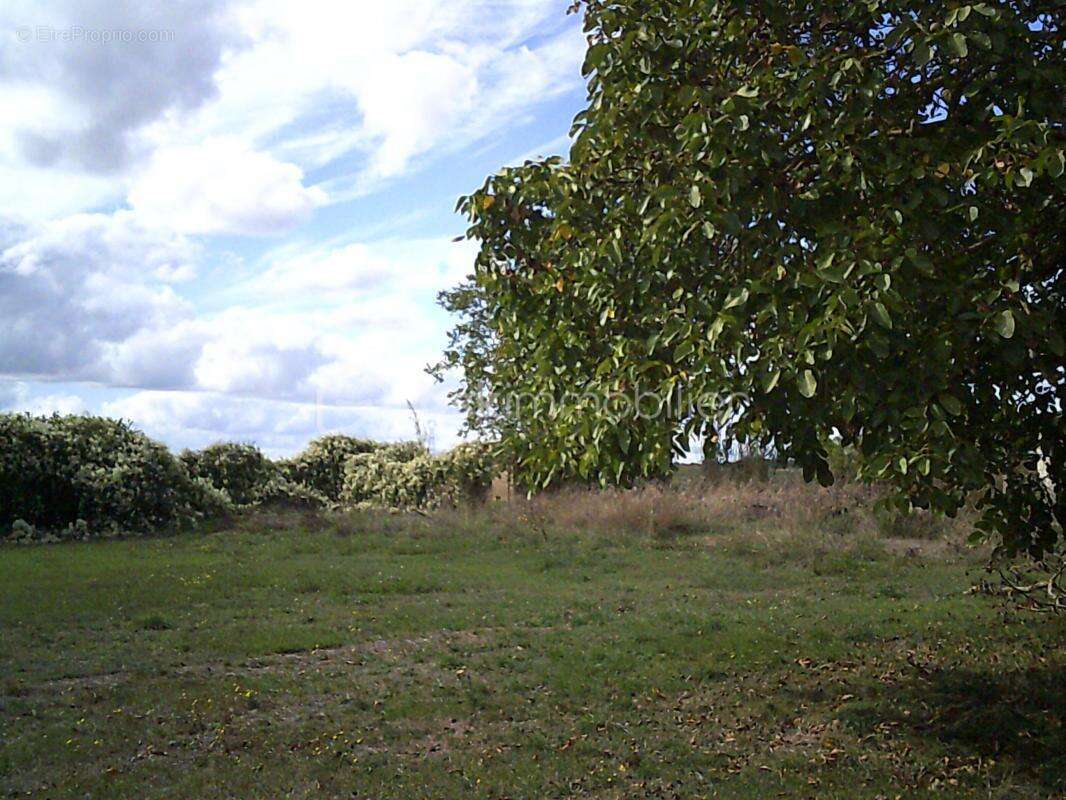 86380 Saint Martin La Pallu Terrain constructible de 685m2 - photo 7