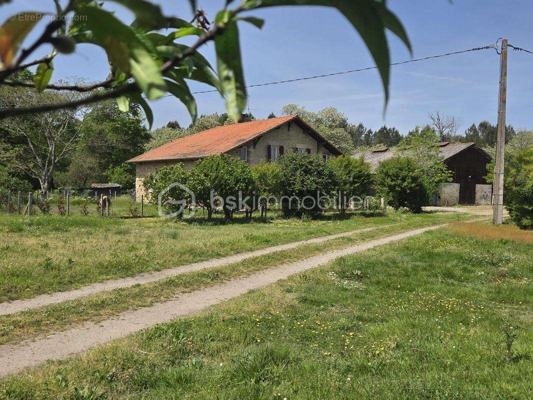 Maison landaise au cœur de la nature - photo 2