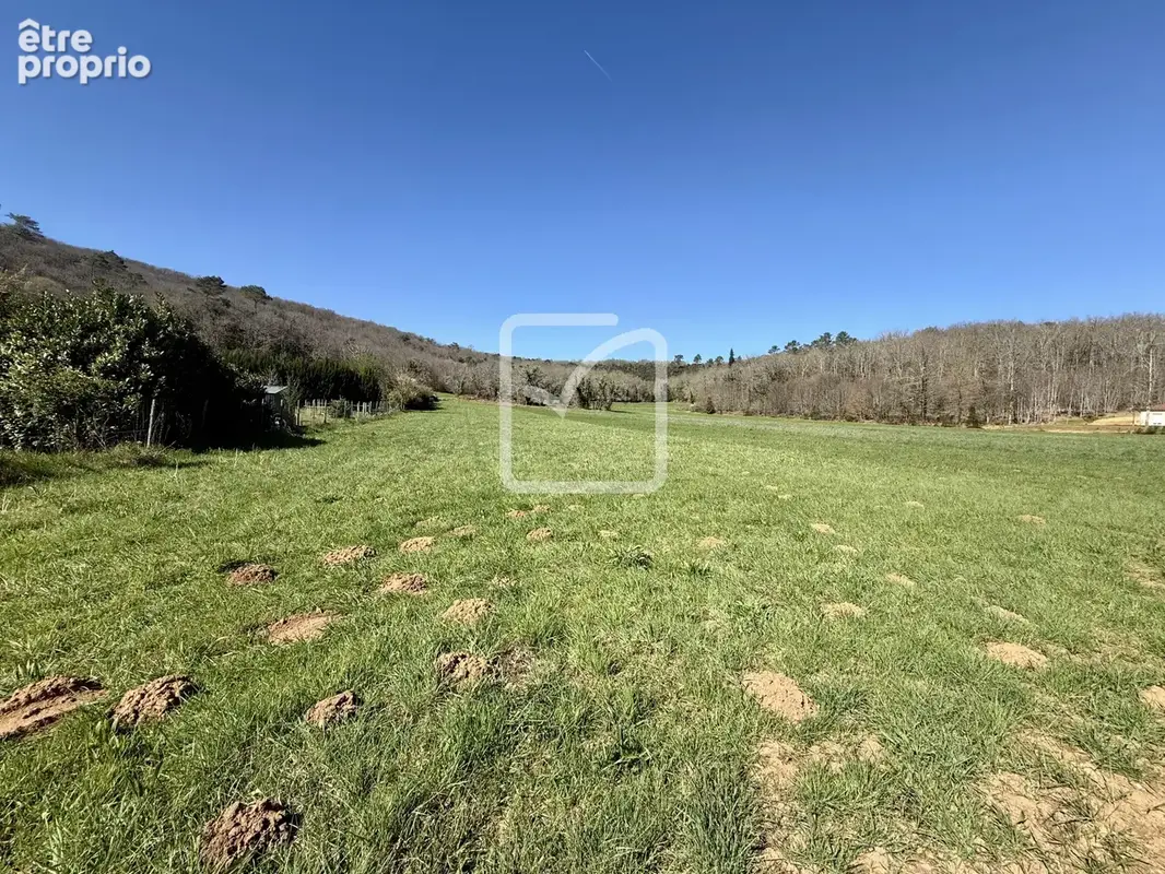 Terrain à SAINT-VINCENT-LE-PALUEL