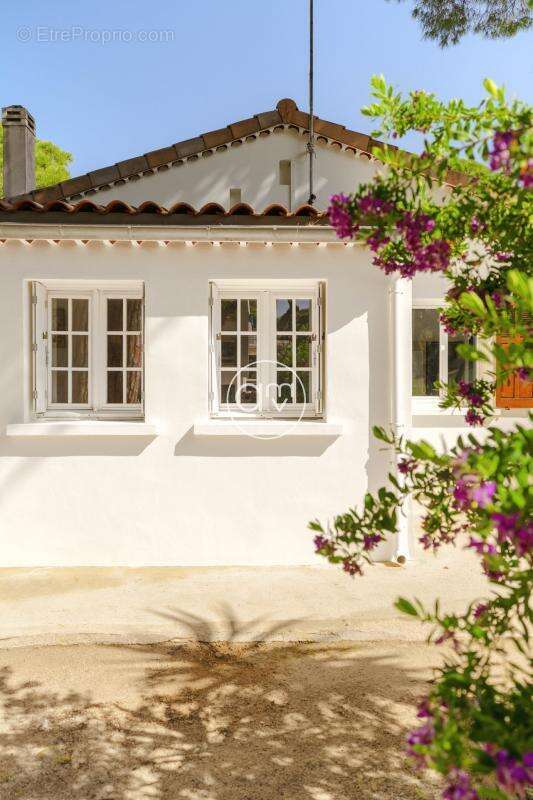 Hyeres - les pesquiers - villa  en pleine propriete - parcel - photo 5