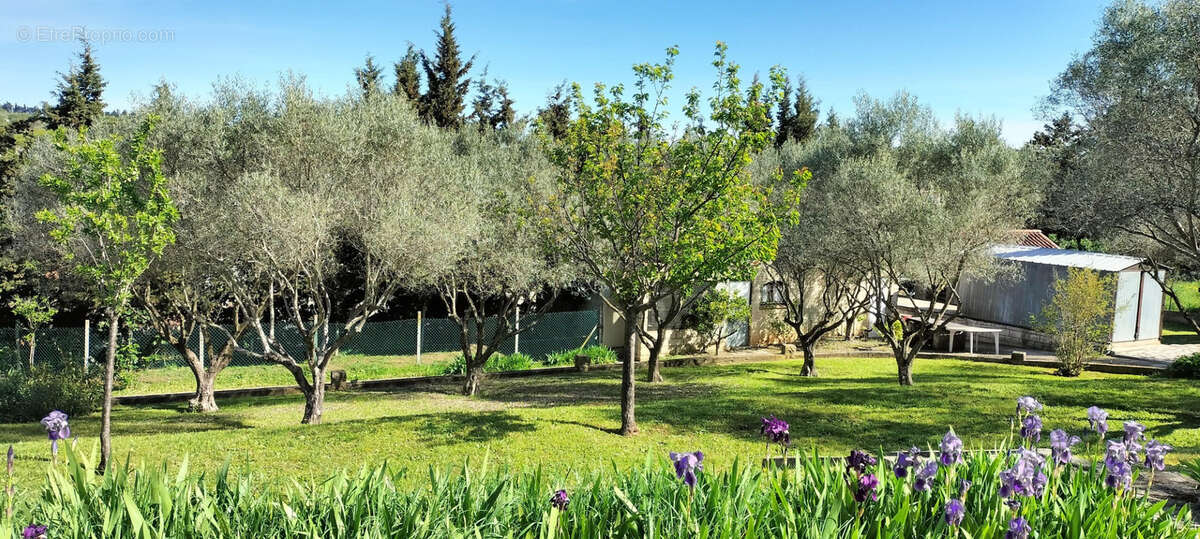 Maison à BELLEGARDE