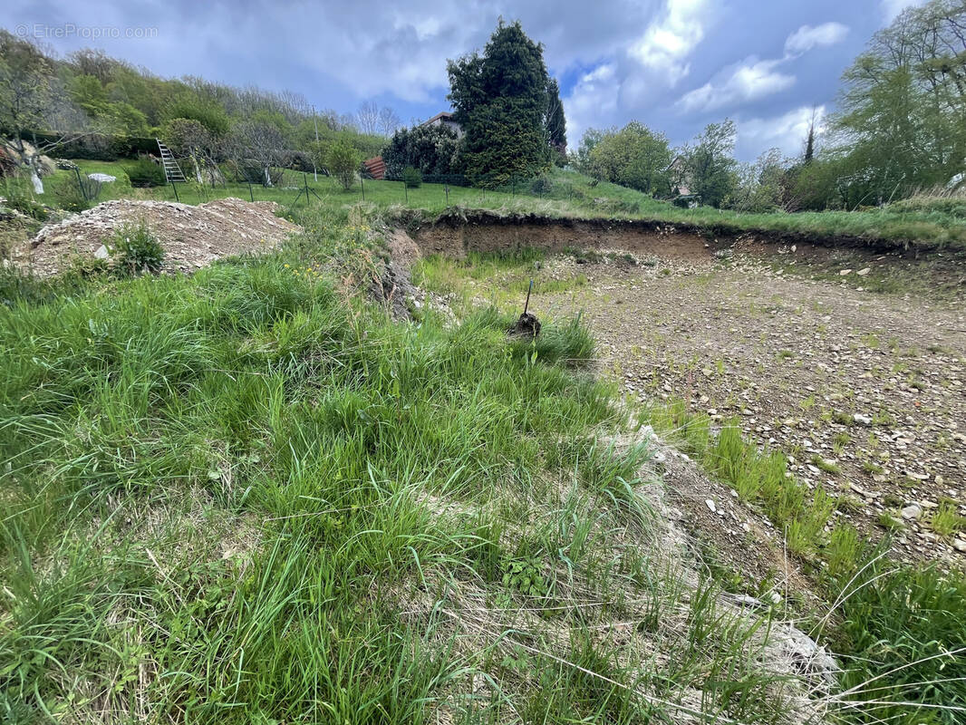 Terrain à AUXELLES-HAUT