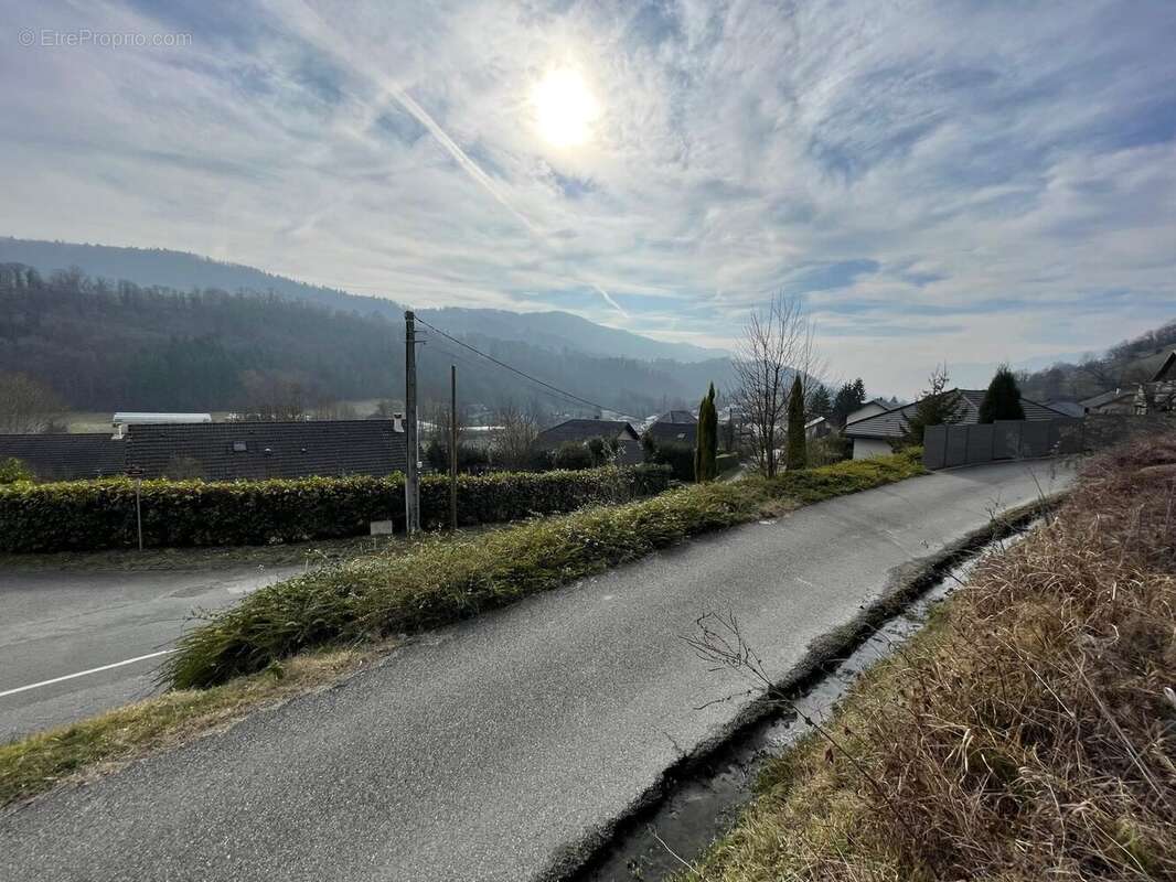 Terrain à COISE-SAINT-JEAN-PIED-GAUTHIER