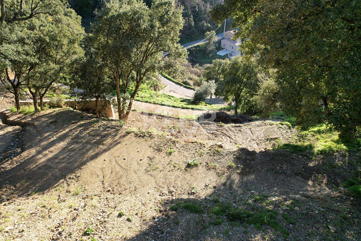 Terrain Constructible-1550 m2-Poggio D Oletta (Nebbio)vue dégagée - photo 4