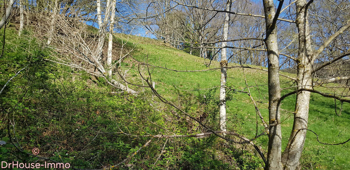 Maison à LAUTENBACHZELL