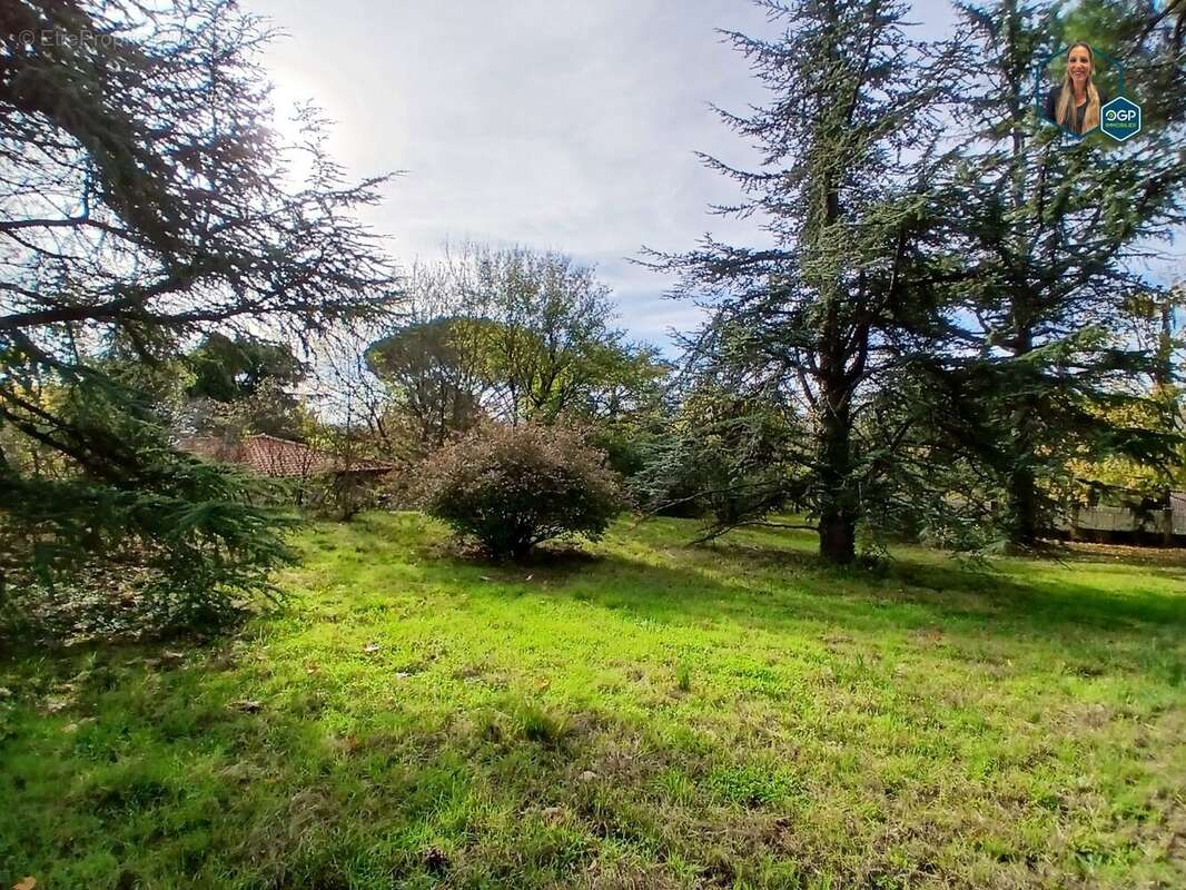 Terrain à GRATENTOUR