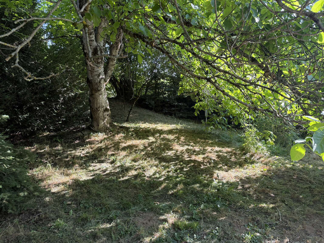 Maison en Pierre 4 Chambres avec Jardin - photo 5