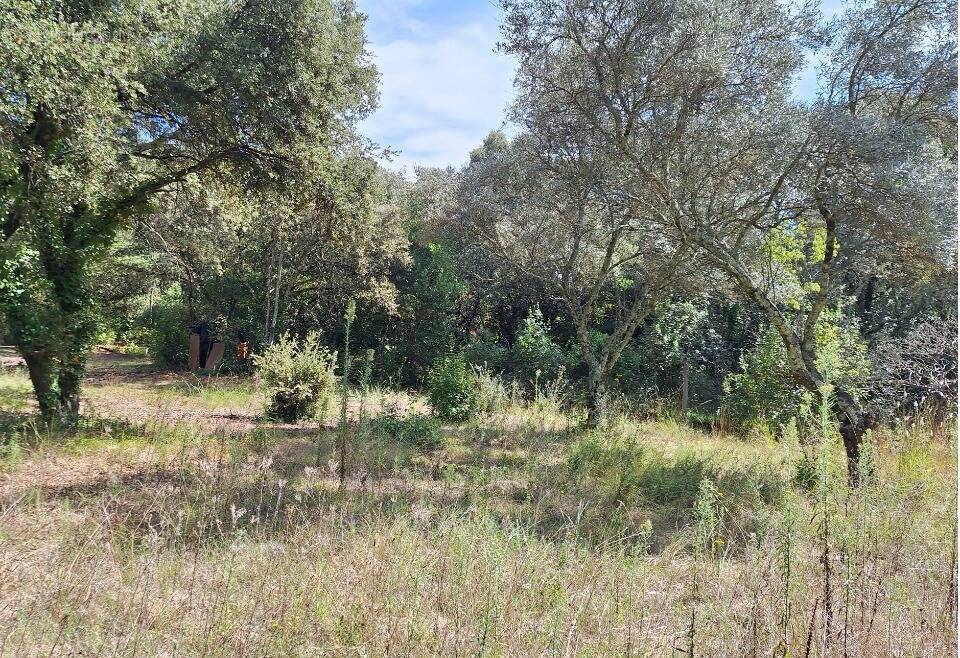 Terrain à VILLEVIEILLE