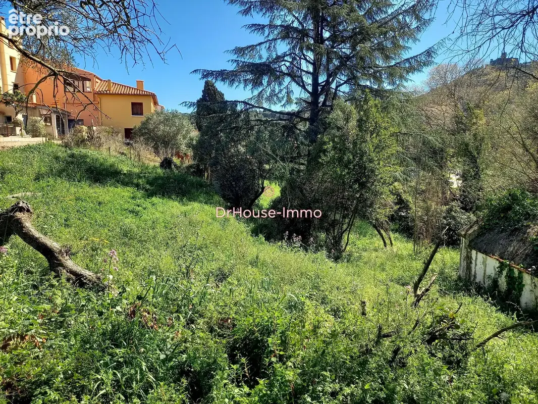 Terrain 1 555 m² à vendre à Collioure (66190) - photo 26