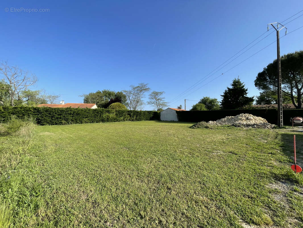 Terrain à SAINT-SAVINIEN