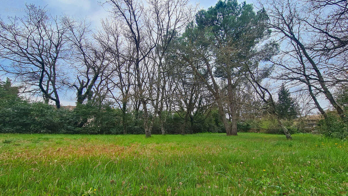 Terrain à LA BRUGUIERE