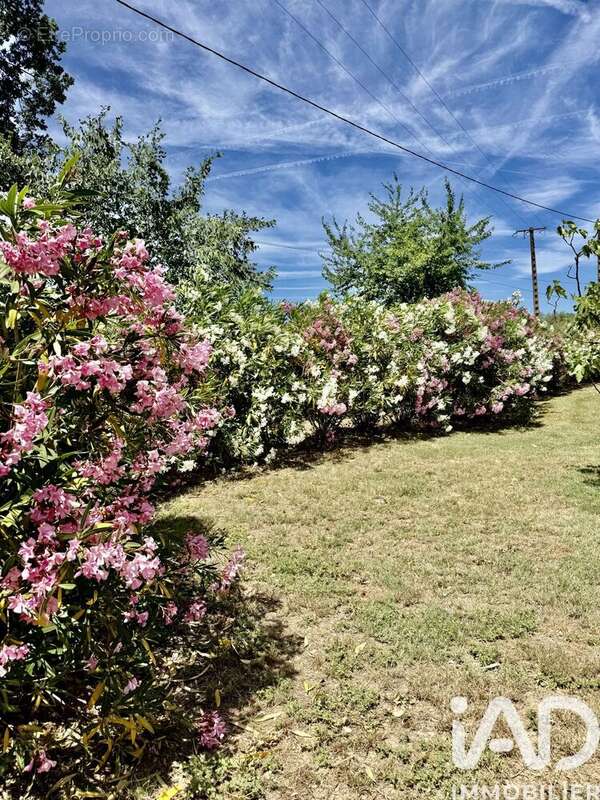 Photo 6 - Maison à LE CANNET-DES-MAURES