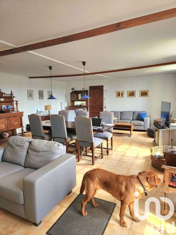 Maison 220 m² à Saint-Palais  - photo 8