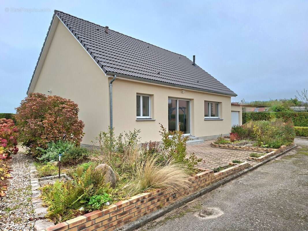 Maison à BRACQUEMONT