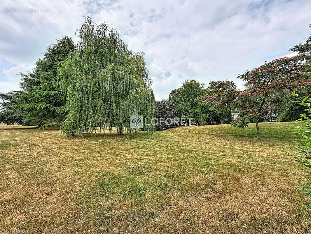 Appartement Le Mesnil Esnard 4 pièce(s) - photo 9