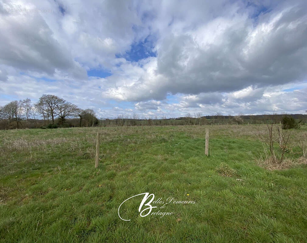 A vendre superbe longère de charme 3 hectares Piscine et Dépendance Morbihan - photo 5