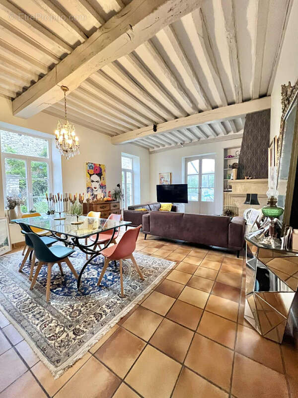 Maison Bourgeoise avec jardin et espace professionnel - photo 2