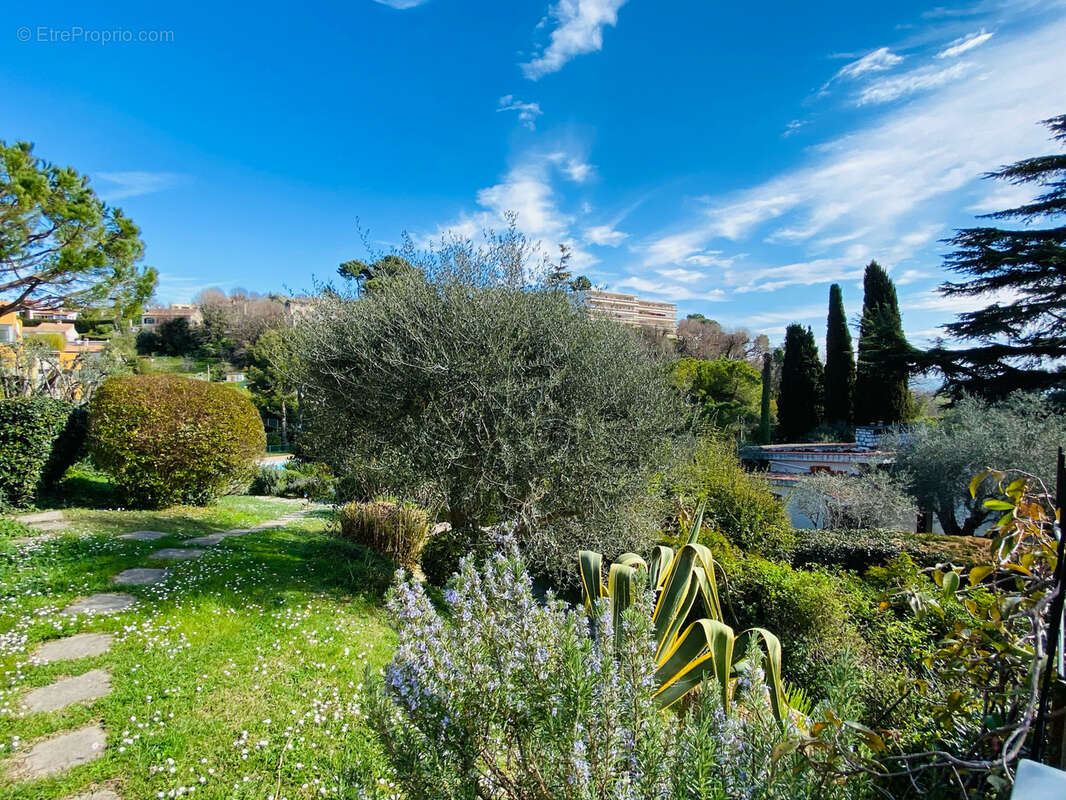 Appartement à VILLENEUVE-LOUBET