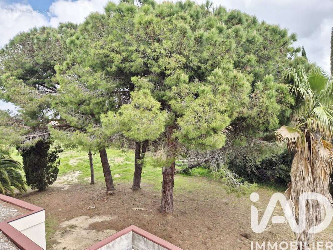 Photo 9 - Appartement à ALENYA